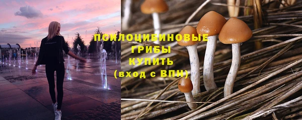 прущая мука Абинск