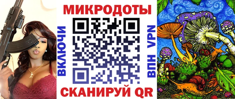 Псилоцибиновые грибы Psilocybe  Тамбов 